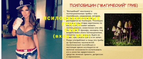 твердый Армянск