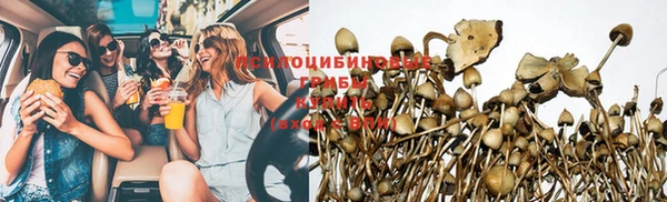 твердый Армянск