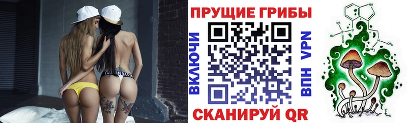 маркетплейс как зайти  Полесск  Галлюциногенные грибы мухоморы 